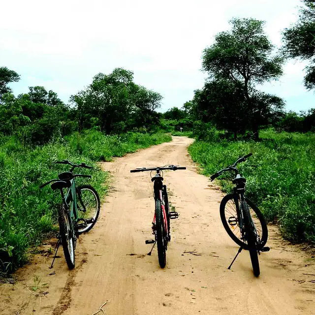 Bicycle Safari with Aperitif or Coffee